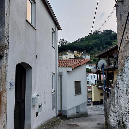 Casa Vale Do Rio Villa Penacova Esterno foto